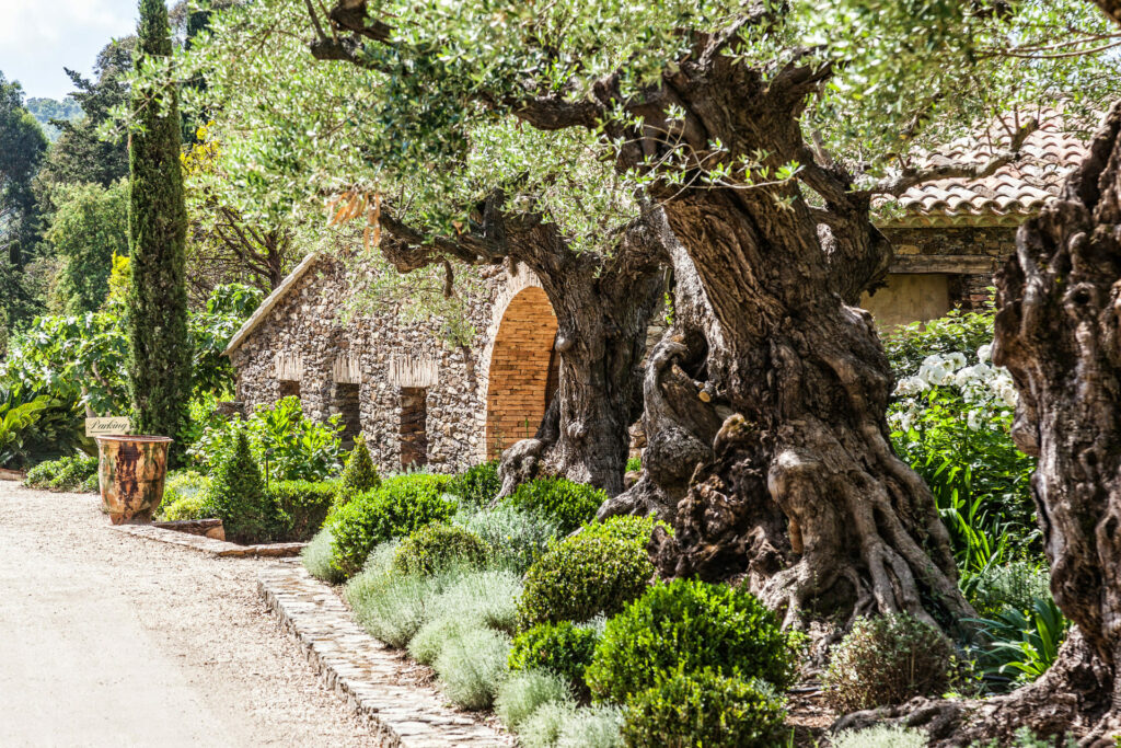 mariage au domaine des mesanges st tropez cote d'azur