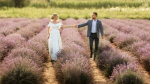 Paysage mariage provençal