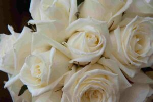 Arrangement de fleurs de mariage en blanc