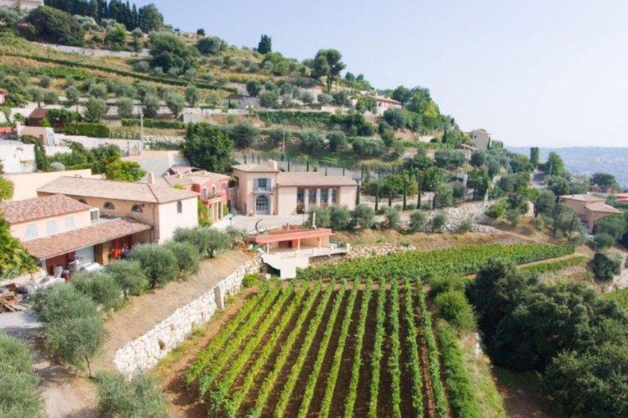 Domaine de Toasc